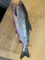 Wild Caught Pink Salmon